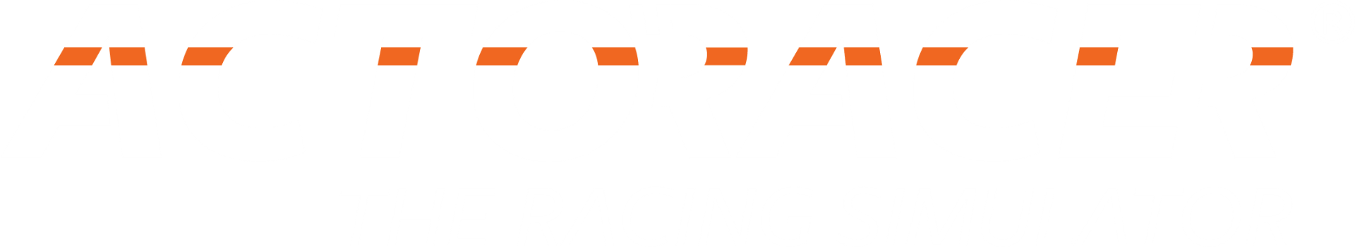 ACTORACER — The Racing Simulator